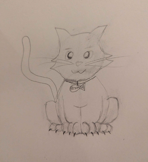 cat drawing