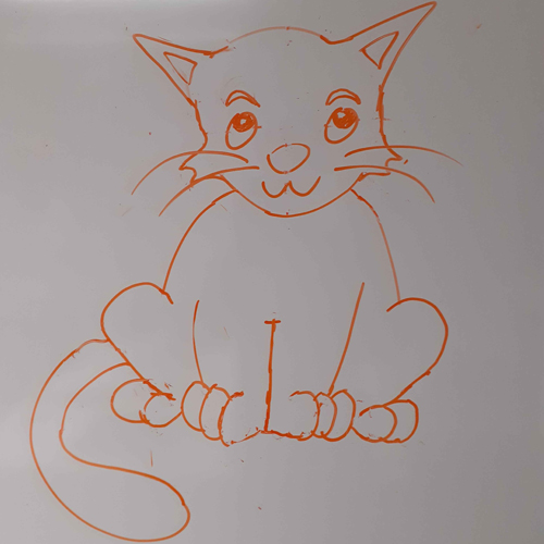 Orange whiteboard pen drawing of the cat, looking upwards with arched eyebrows and pointy ears.